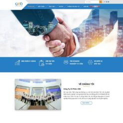 Giao diện Website giới thiệu công ty tư vấn doanh nghiệp