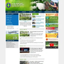 Giao diện Website cơ quan nhà nước