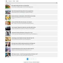 Giao diện Website tin tức cho mobile 24