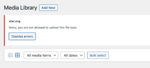 Function Allow SVG Files Upload