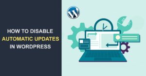 Function Chặn Tự Động Cập Nhật Wordpress