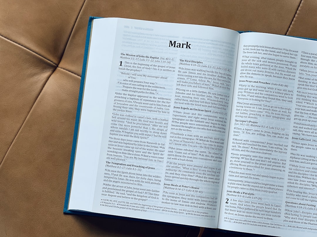 Hướng dẫn chi tiết cách tối ưu Schema Markup trên WordPress với Plugin